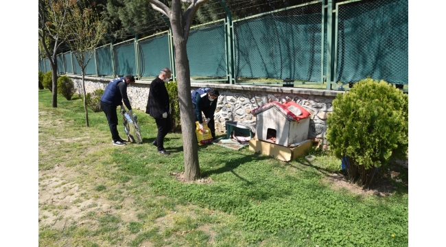 Büyükşehir Sokak hayvanları için mama bırakıyor
