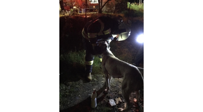 Kafası teneke kutuya sıkışan köpeği itfaiye kurtardı