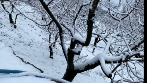 Manisa Turgutlu'da kar yağışı