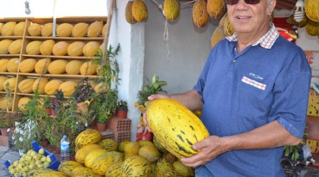 Tezgaha inen Kırkağaç kavununu ayırt etmenin yolları