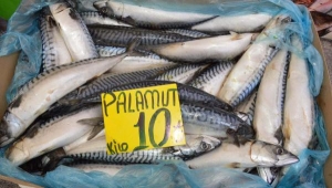 Balık tezgahları doldu 