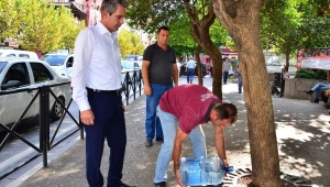 Can dostları için 5 bin mama ve su kabı