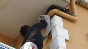 Bu kez kedi kurtarılamadı