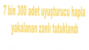 7 bin 300 adet uyuşturucu hapla yakalanan zanlı tutuklandı