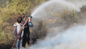 Dalbahçe’de yangın