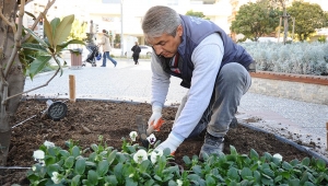 Karşıyaka çiçek açıyor