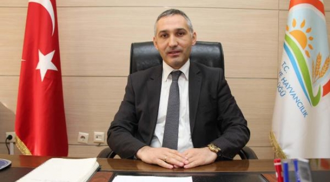 Manisa kümes hayvancılığında ilk sırada