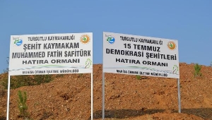 Şehitler için hatıra ormanına 285 fidan dikildi