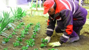  Daha yaşanılabilir Turgutlu için Ekipler  İçin İşbaşında