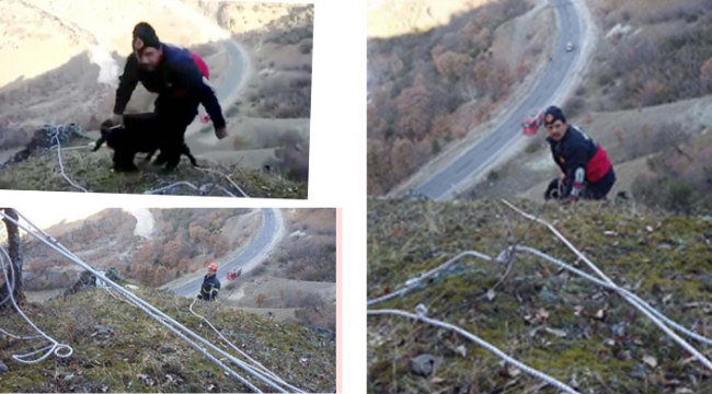 Mahsur kalan keçiyi itfaiye kurtardı