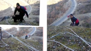 Mahsur kalan keçiyi itfaiye kurtardı