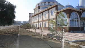 Hz. Ebu Bekir Camii’nin Çevresi Fidanlarla Donatıldı