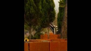 “Irlamaz  vadisinde ağaç katliamı var “