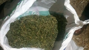 Salihli'de 6.5 kilo esrar ele geçirildi