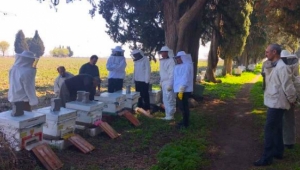 Arı ölümlerine karşı eğitim 