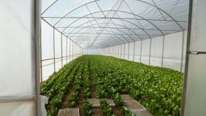 Büyükşehir Belediye Seraya Verdiği Desteği Artırıyor