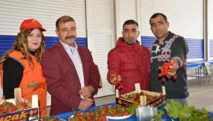 Kirazlar artık modern yerde satışa çıkacak