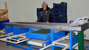 Şehirden köye kaçtı, kendi markasını yarattı