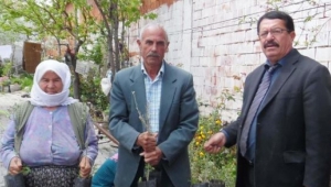 Yunusemre'den üreticilere 10 bin zeytin fidanı