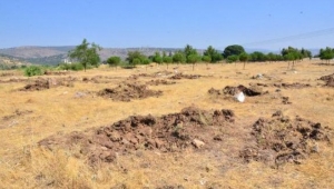 Ağaçlar sökülünce, köylüler tepki gösterdi