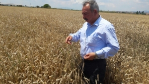 CHP'li Mazlum Nurlu: 'HÜKÜMET ÇİFTÇİYİ GÖZDEN ÇIKARDI'