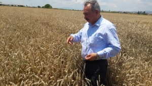 CHP'li Mazlum Nurlu, Tarım ve Hayvancılık Bakanına soru önergesi verdi