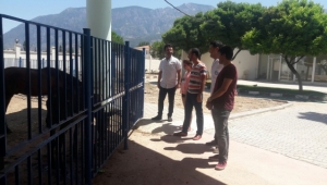 Hayvan Merkezi'nde hafta sonu mesaisi