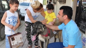 İşkence gören sokak köpeği doğal ortamına bırakıldı