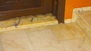 Turgutlu’da  yılan  kurtarma operasyonu