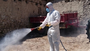 Vatandaşlar İstedi Metruk Bina İlaçlandı