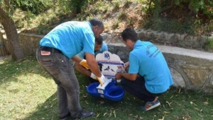 Yunusemre'de sokak hayvanlara destek