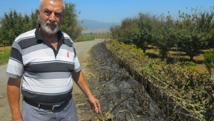 ÖZYURT MAHALLE MUHTARI ÇAPRAZ DERTLİ