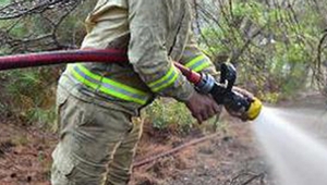 Spil'de orman yangını