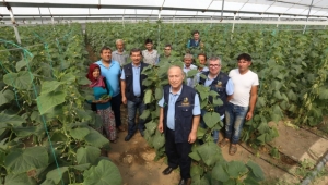 ORMAN MAHALLELERİNDE YAŞAYAN VATANDAŞLARA DEV DESTEK…