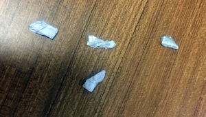 18 yaşında bonzai satıcısı yakalandı