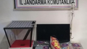 Depoda kumara jandarma baskını
