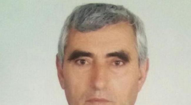 Dozerin söktüğü ağacın altında kalıp, öldü