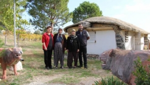 Kaplumbağa görünümlü ev ve yapılış nedeni şaşırttı