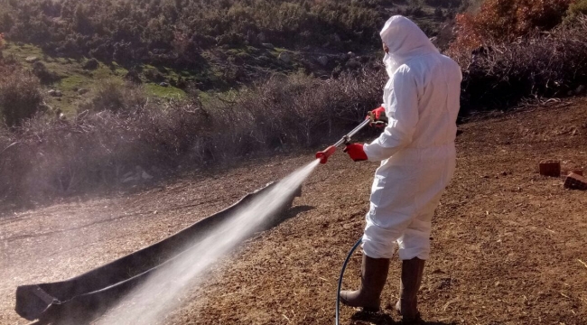 Manisa Büyükşehir Belediyesi Sağlık İşleri Dairesi Başkanlığı ekipleri tarafından Saruhanlı’da küçükbaş hayvancılıkla uğraşan vatandaşların ağıllarında dezenfekte çalışması yapıldı.