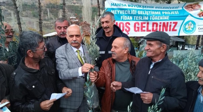 MANİSA Büyükşehir Belediyesinin ‘Meyveciliği Geliştirme Projesi’ kapsamında il genelinde devam eden fidan dağıtımı, Demirci ilçesiyle sürdü.