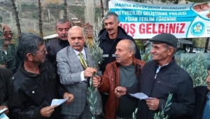 MANİSA Büyükşehir Belediyesinin ‘Meyveciliği Geliştirme Projesi’ kapsamında il genelinde devam eden fidan dağıtımı, Demirci ilçesiyle sürdü.