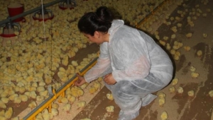 Sıfır sermayeyle başladı, şimdi milyonları var