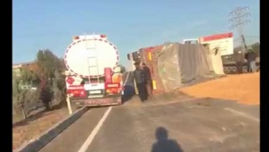 TIR'da yüklü bulunan mısırlar yola döküldü