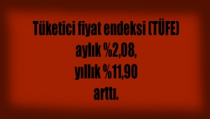 Tüketici fiyat endeksi (TÜFE) aylık %2,08, yıllık %11,90 arttı. 