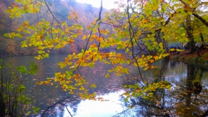 Turdak bu Pazar İki etkinlikle doğadaydı