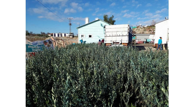 Gördes’te Üreticiler Büyükşehir İle Kazanacak