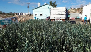 Gördes’te Üreticiler Büyükşehir İle Kazanacak