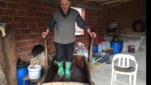 600 yıllık yöntemle zeytinyağı üretiyorlar