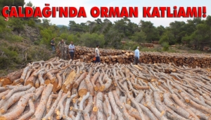 ÇALDAĞI'NDA MADENLE İLGİLİ 19 ŞUBAT'TA KEŞİF YAPILACAK 