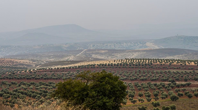 Zeytin Dalı Harekatı'nda 21'inci gün; Türk savaş uçakları bomba yağdırdı